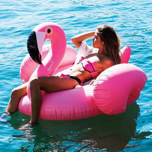 Unicorn and Flamingo Pool Float - whimsyandever