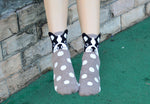 Doggie Snuggles Socks - whimsyandever