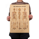 The Skeletal System Poster - whimsyandever